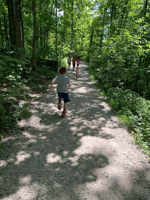Hiking With Kids Archives Family Fun